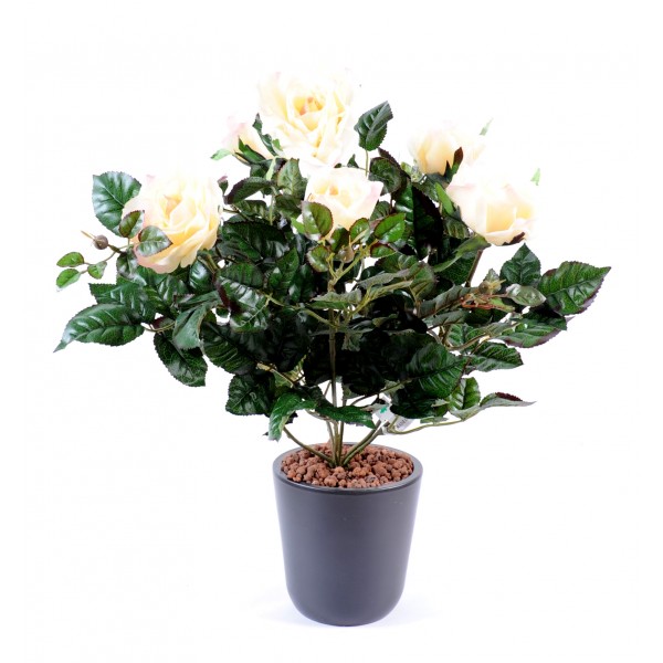 Rosier Francais Piquet*6 – Plante artificielle