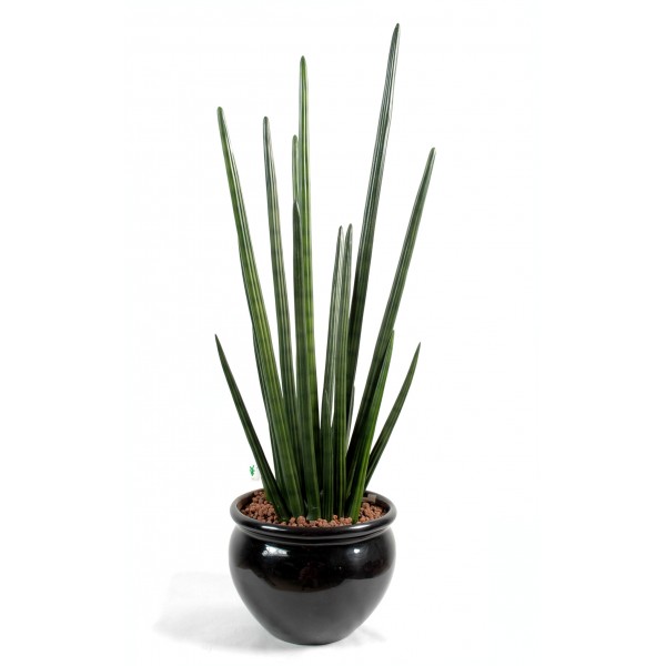 Sansevieria Cylindrica – Plante artificielle