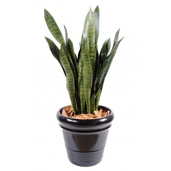 Sansevieria Large – Plante artificielle