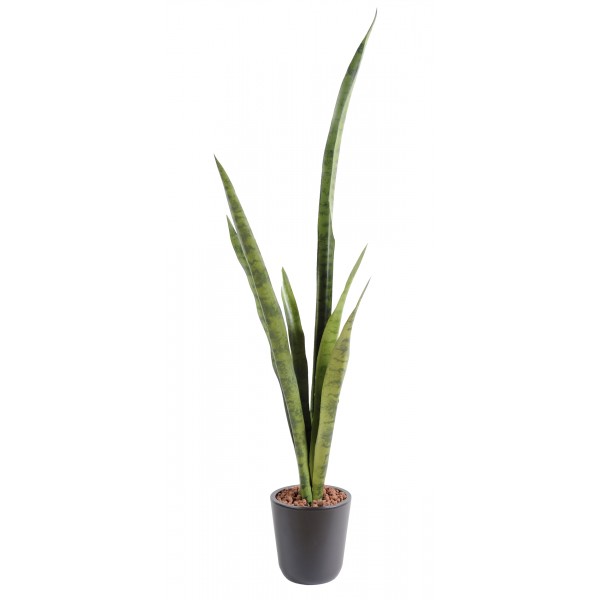 Sansevieria Piquet Gm – Végétal artificiel