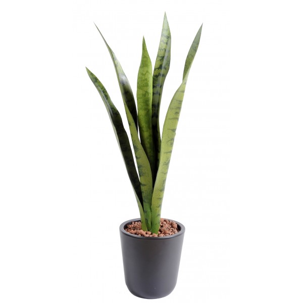 Sansevieria Piquet Mm – Végétal artificiel