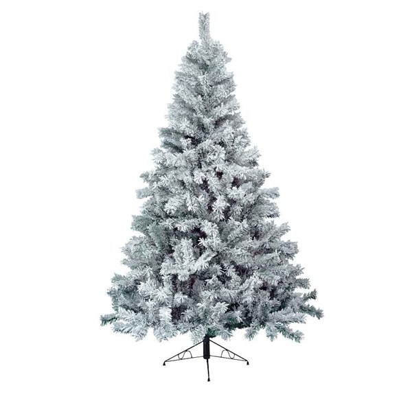 Sapin Blanc Enneigé – Noël