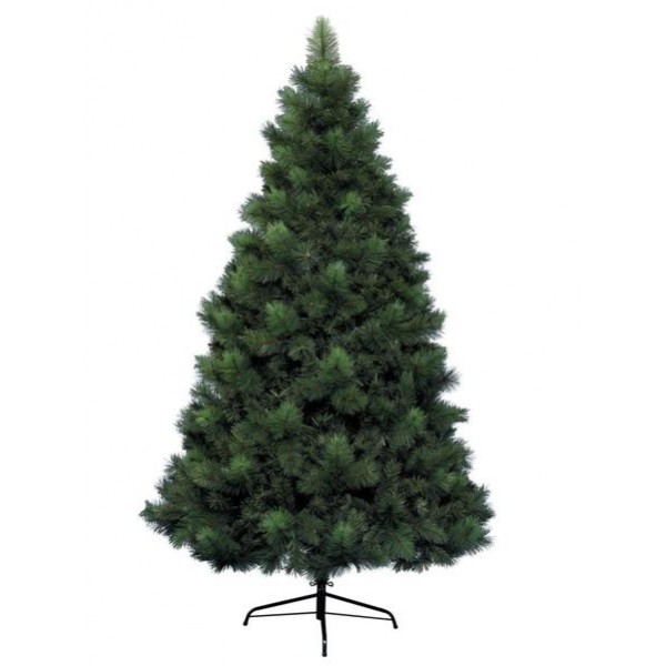 Sapin Vancouver – Noël