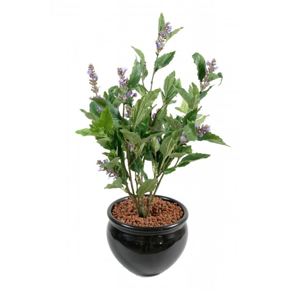 Sauge – Plante artificielle