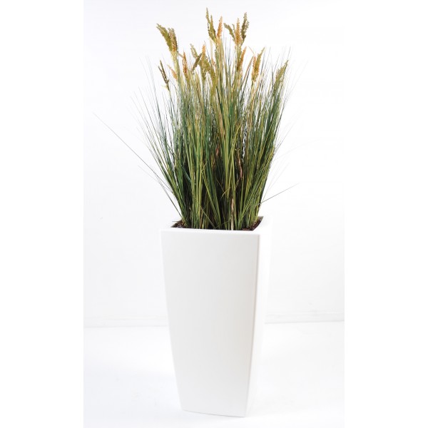 Scirpus Validus En Pot Pure Haut – Composition artificielle