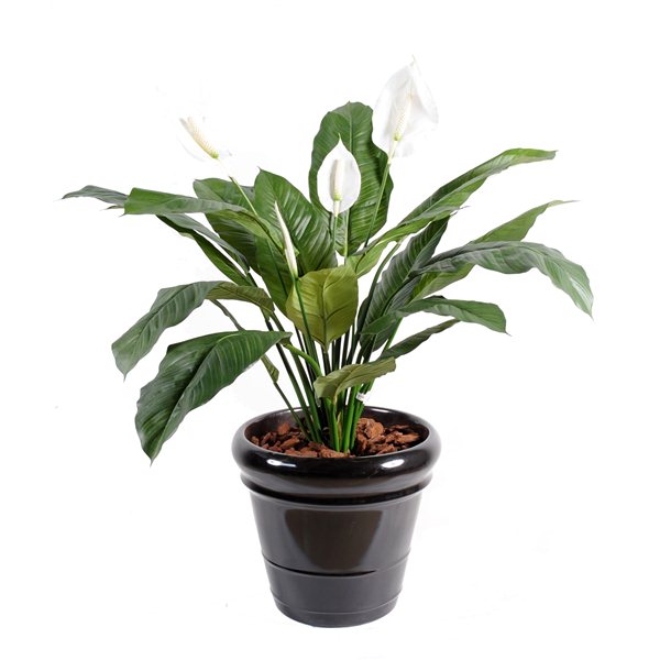 Spathiphyllum *4Fl Pot – Plante artificielle