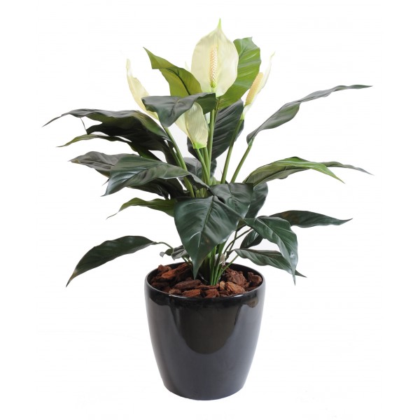 Spathiphyllum *5Fl Pot – Plante artificielle