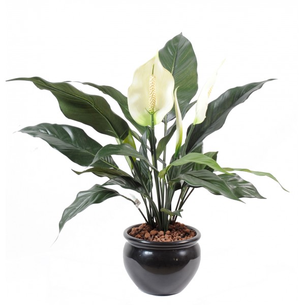 Spathiphyllum*2Fl*1Bt Pot – Plante artificielle