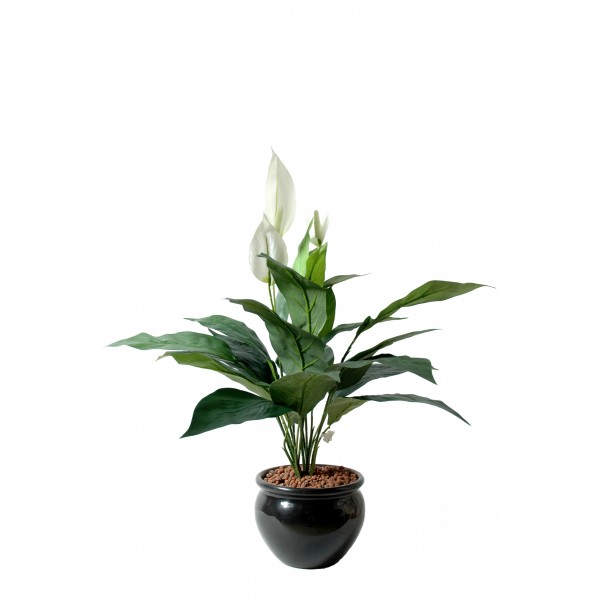 Spathiphyllum 3Fl – Plante artificielle