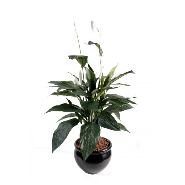 Spathiphyllum 8 Fl – Plante artificielle