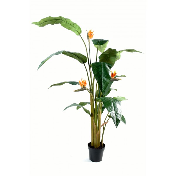 Strelitzia Tree – Arbre artificiel