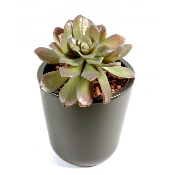 Succulent Rond – Plante artificielle