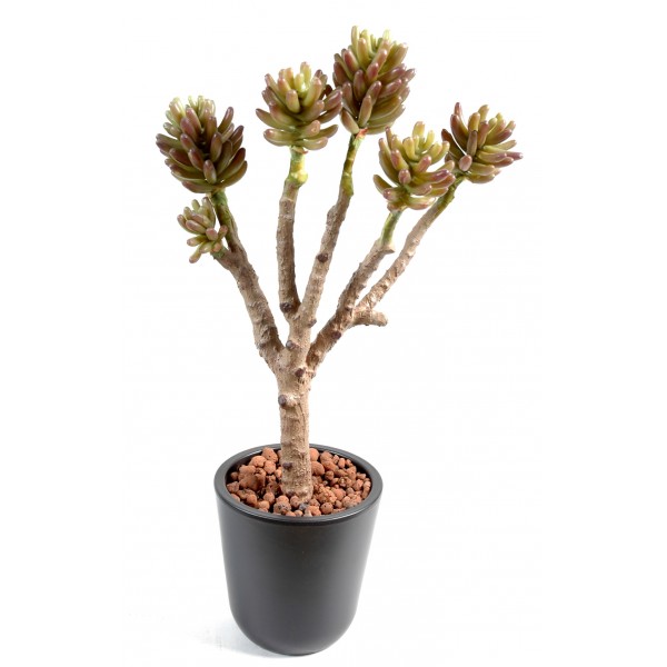 Succulent Tree – Plante artificielle