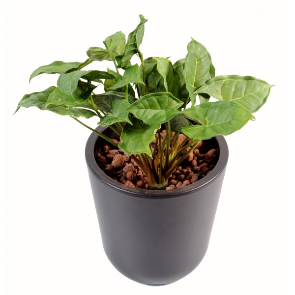 Syngonium Mini Plast – Plante artificielle