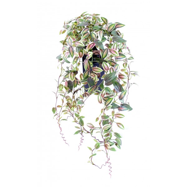 Tradescantia Chute * 516 – Plante artificielle