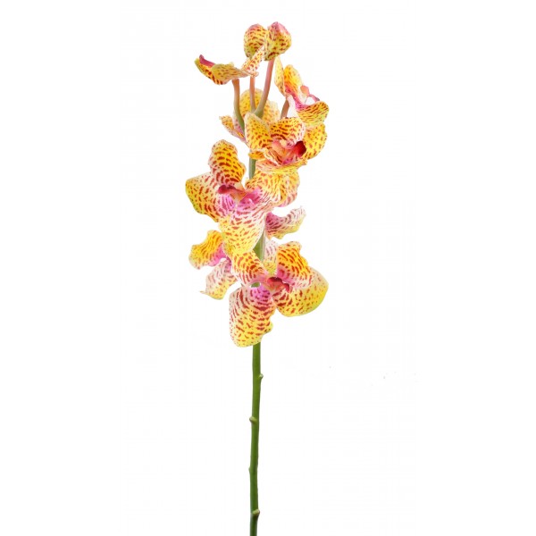 Vanda Tige Fresh Touch – Fleur artificielle en tige