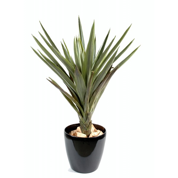 Yucca – Plante artificielle