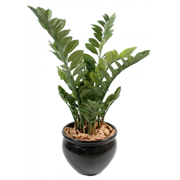 Zamia – Arbre artificiel