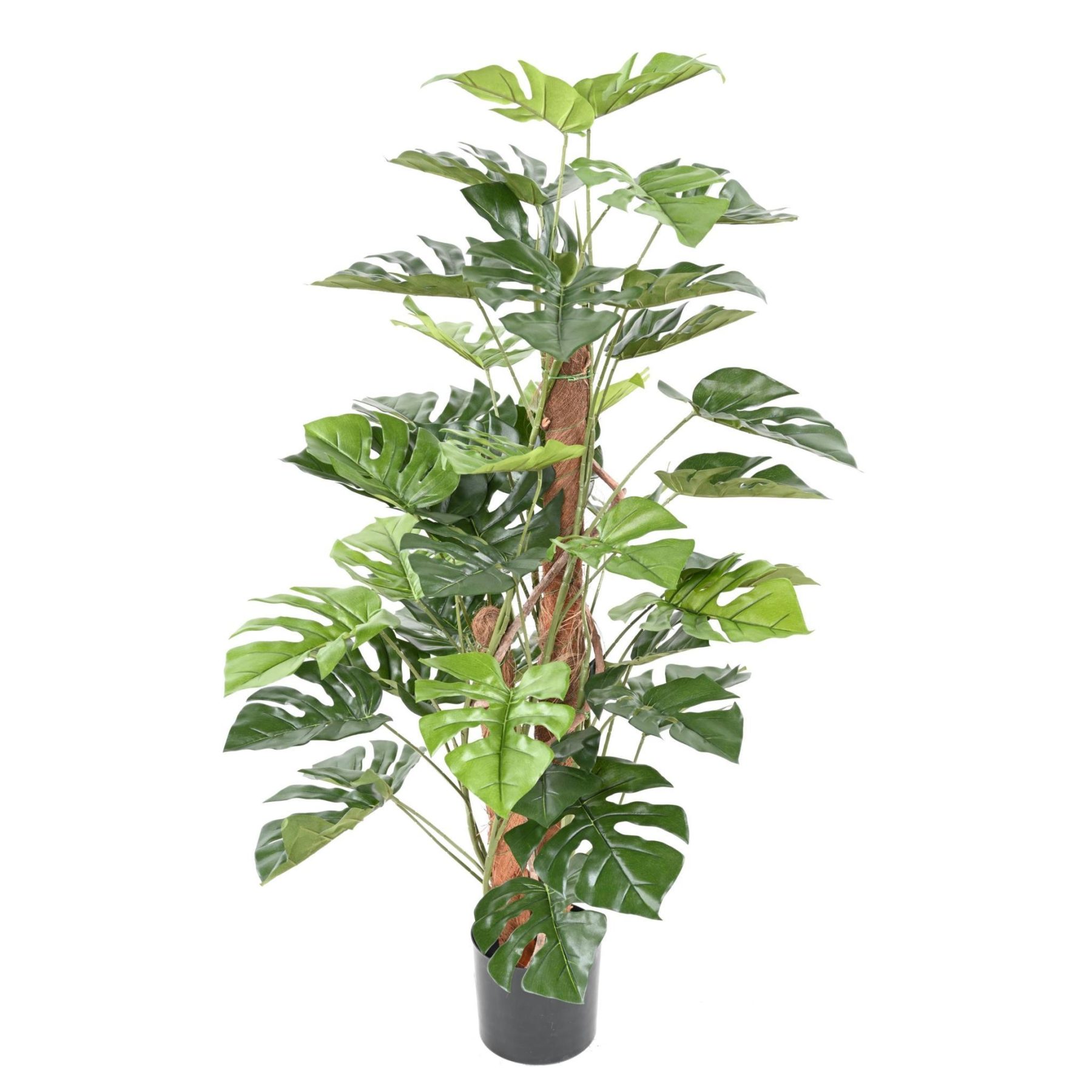 Vue complémentaire : philodendron artificiel vert avec pot de base