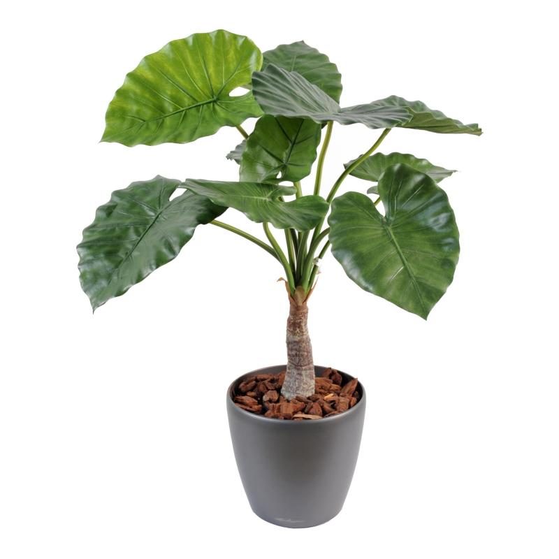 Alocasia Calidora artificiel vert dans son pot