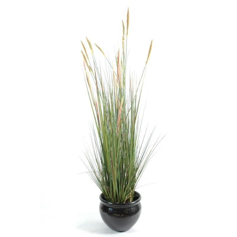 Zanichellie artificielle verte dans un pot