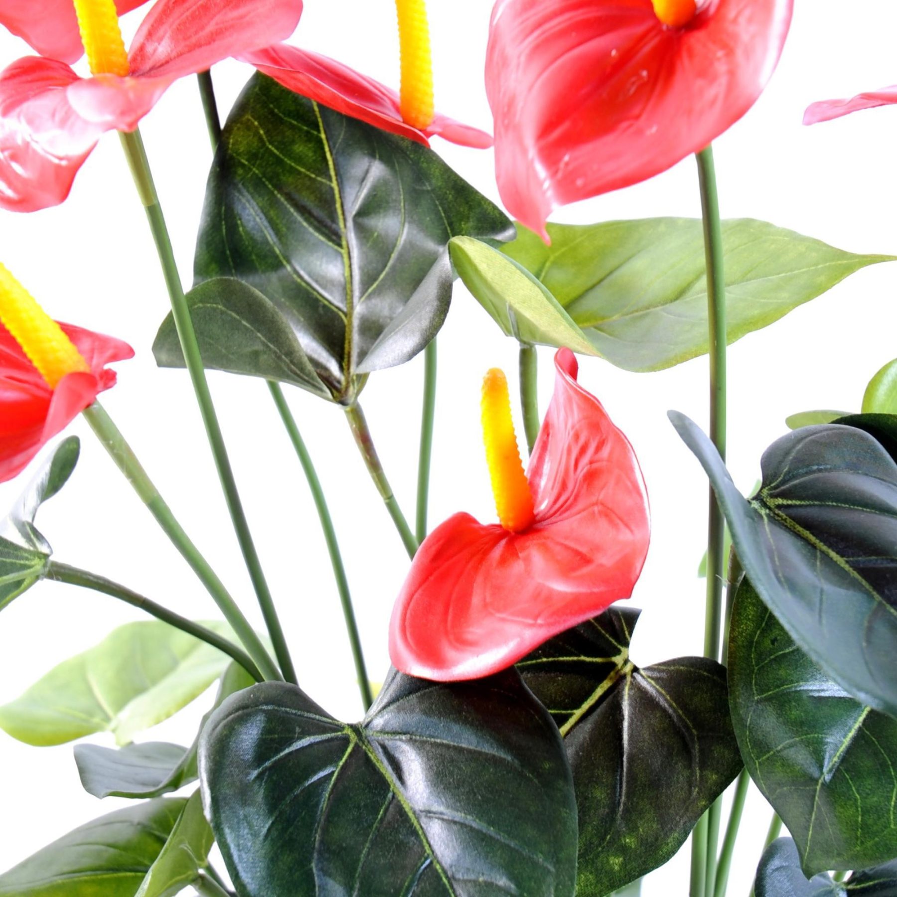 Vue complémentaire : anthurium artificiel rouge dans un pot