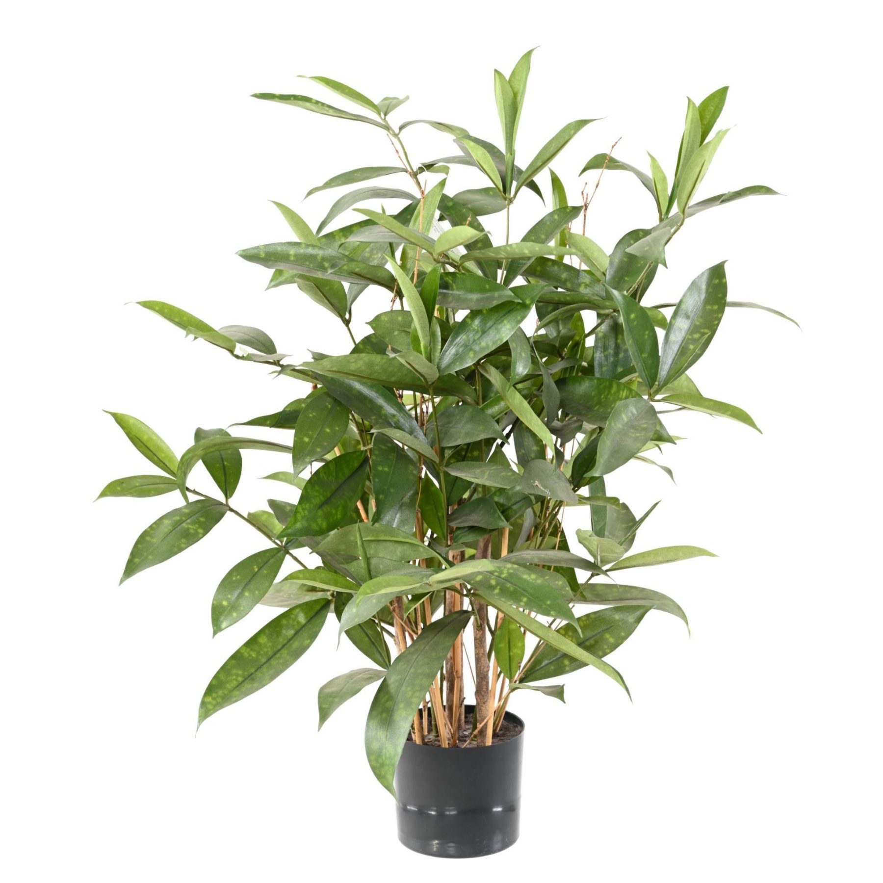 Vue complémentaire : dracaena Surculosa artificiel vert en pot