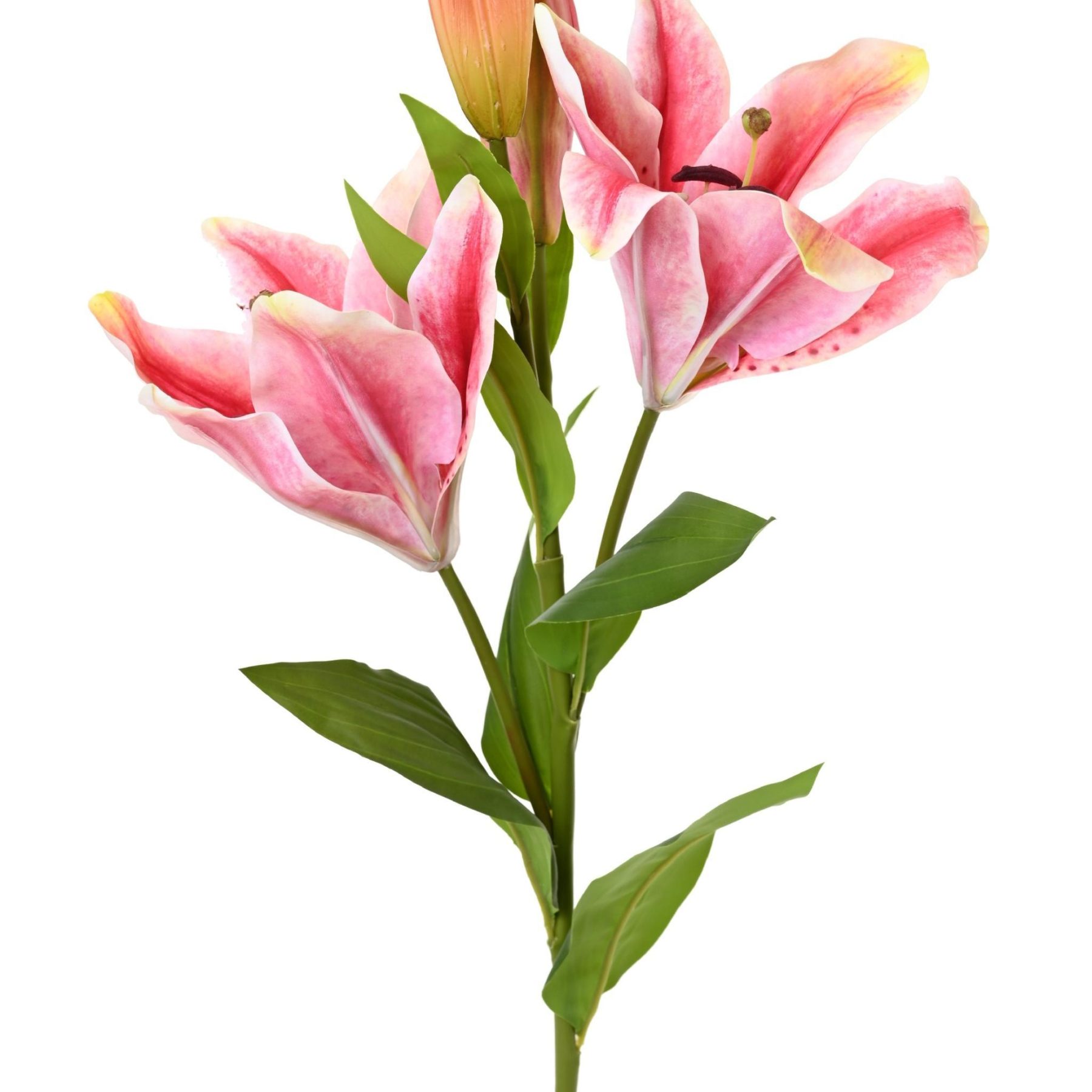 Vue complémentaire : tige florale rose de lys, référence Casablanca de 80 cm
