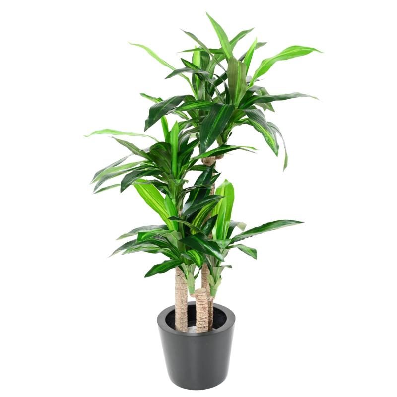 Dracaena Fragrans artificiel vert sur troncs en pot