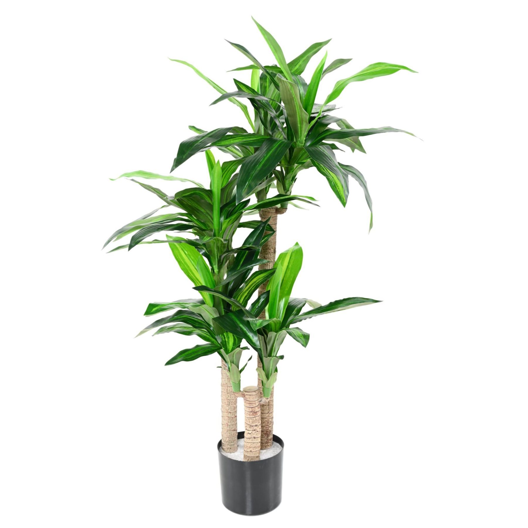 Vue complémentaire : dracaena Fragrans artificiel vert sur troncs en pot