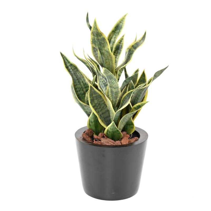 Sansevière Masoniana artificielle en pot