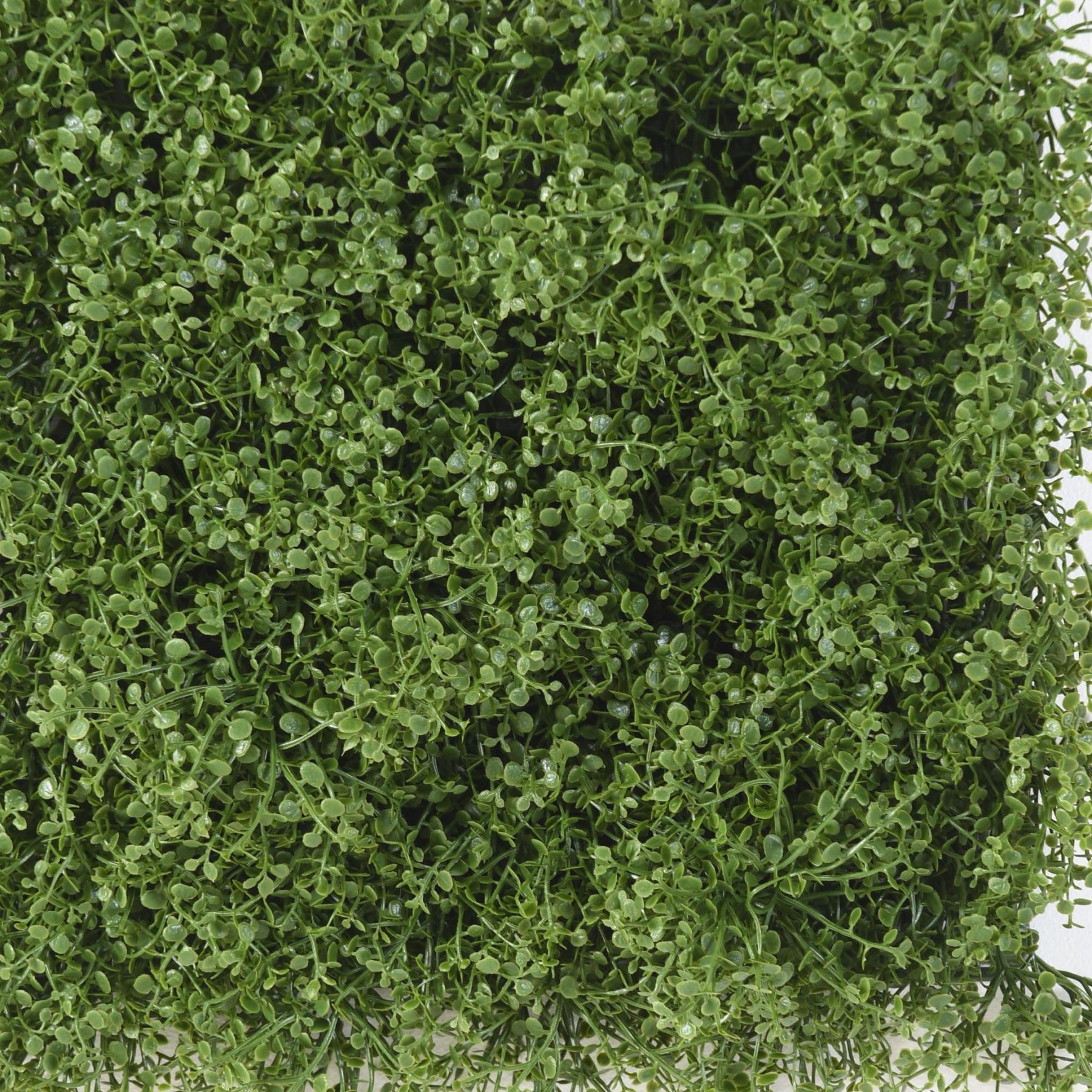 Vue complémentaire : plaque carrée d’helixine artificielle verte