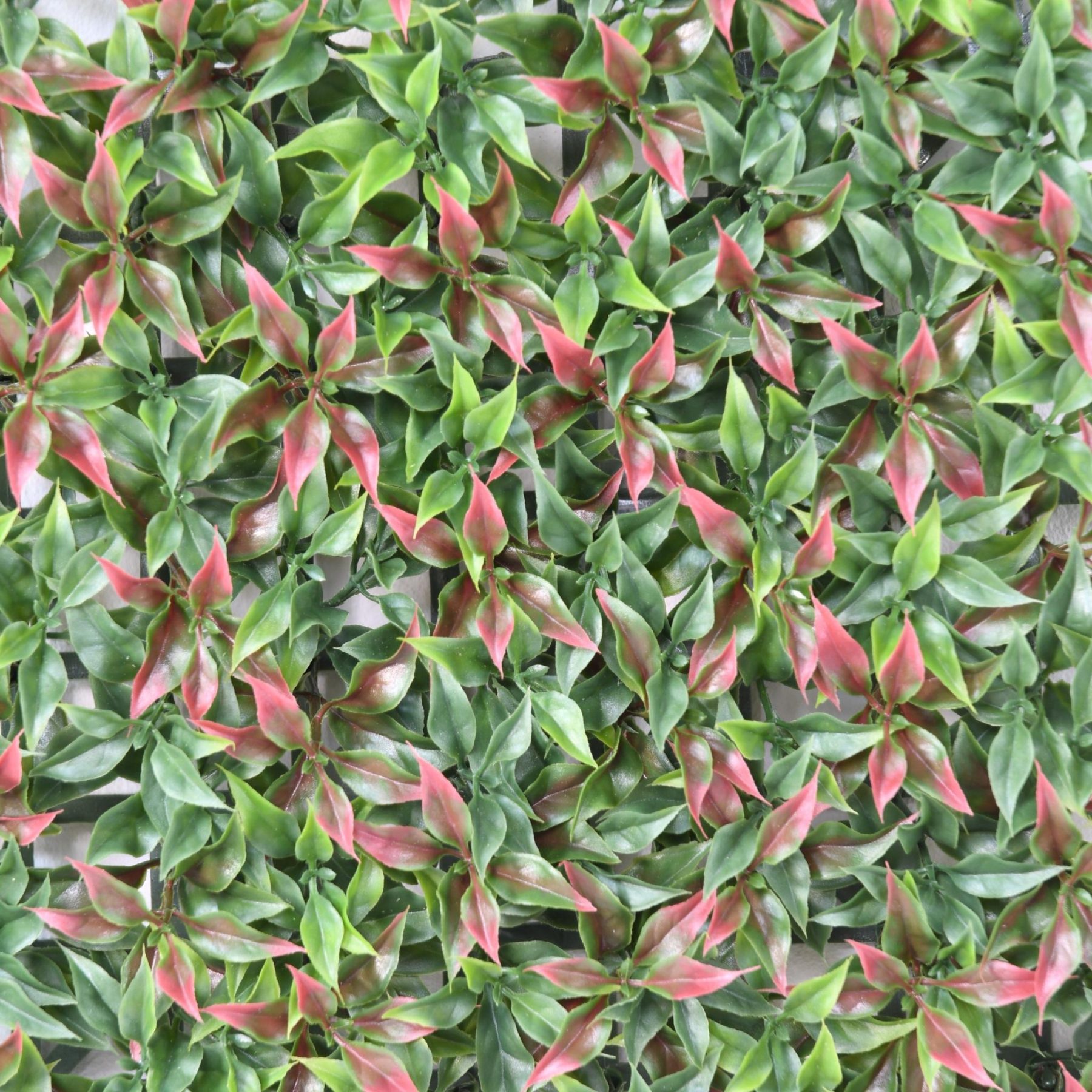Vue complémentaire : plaque de ruscus artificiel aux teintes vert et bordeaux