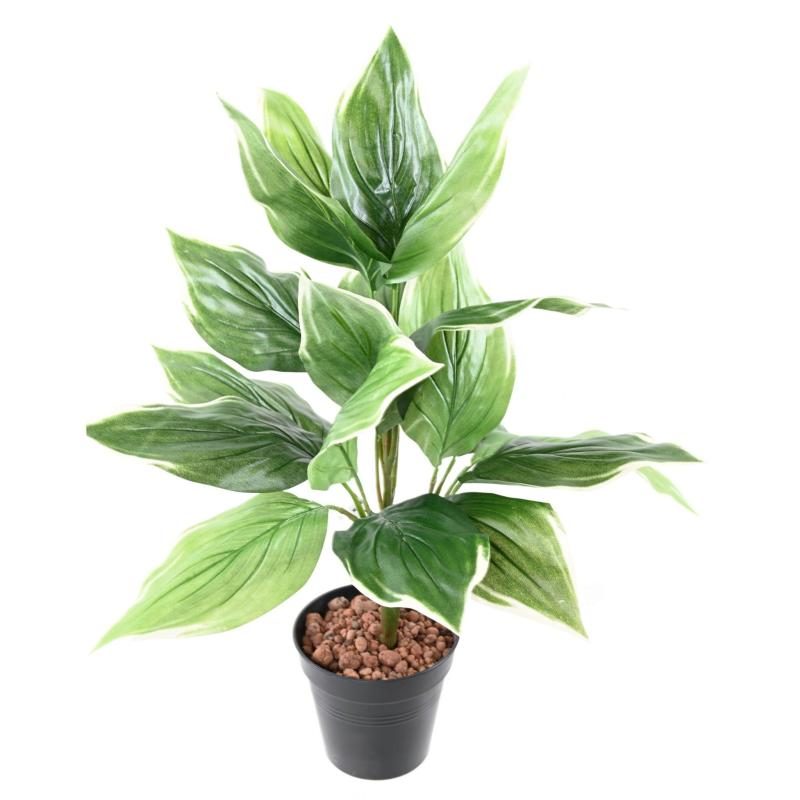 Feuillage vert de hosta de 60 cm sur piquet