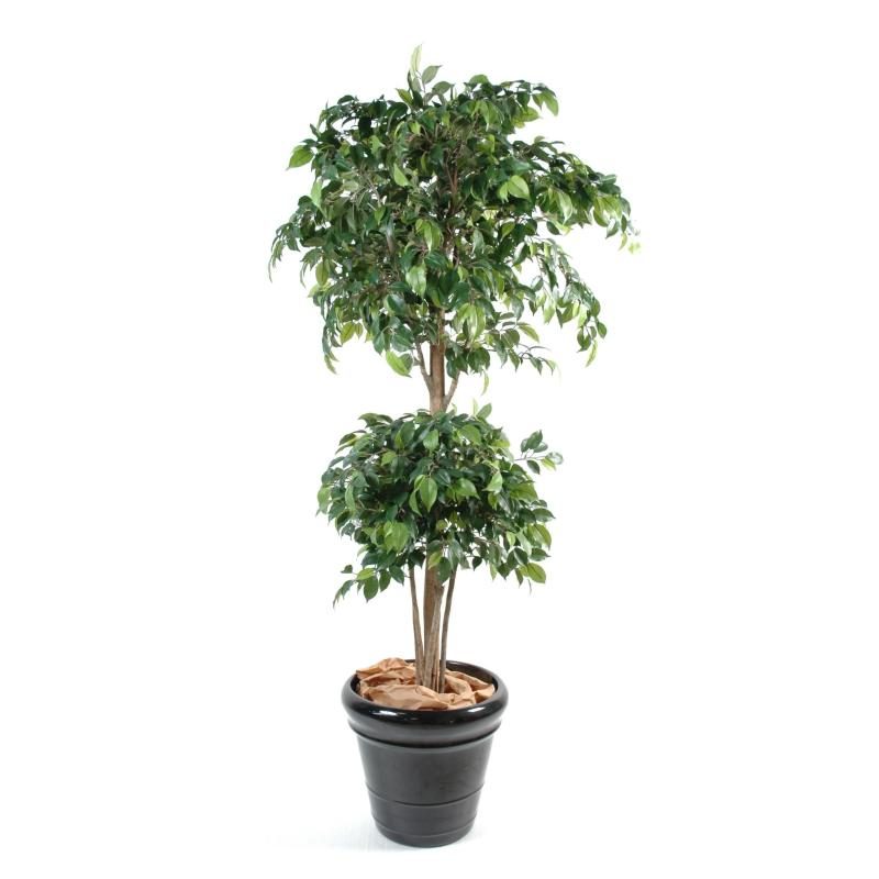 Ficus artificiel de 150 cm avec deux couronnes vertes arrondies