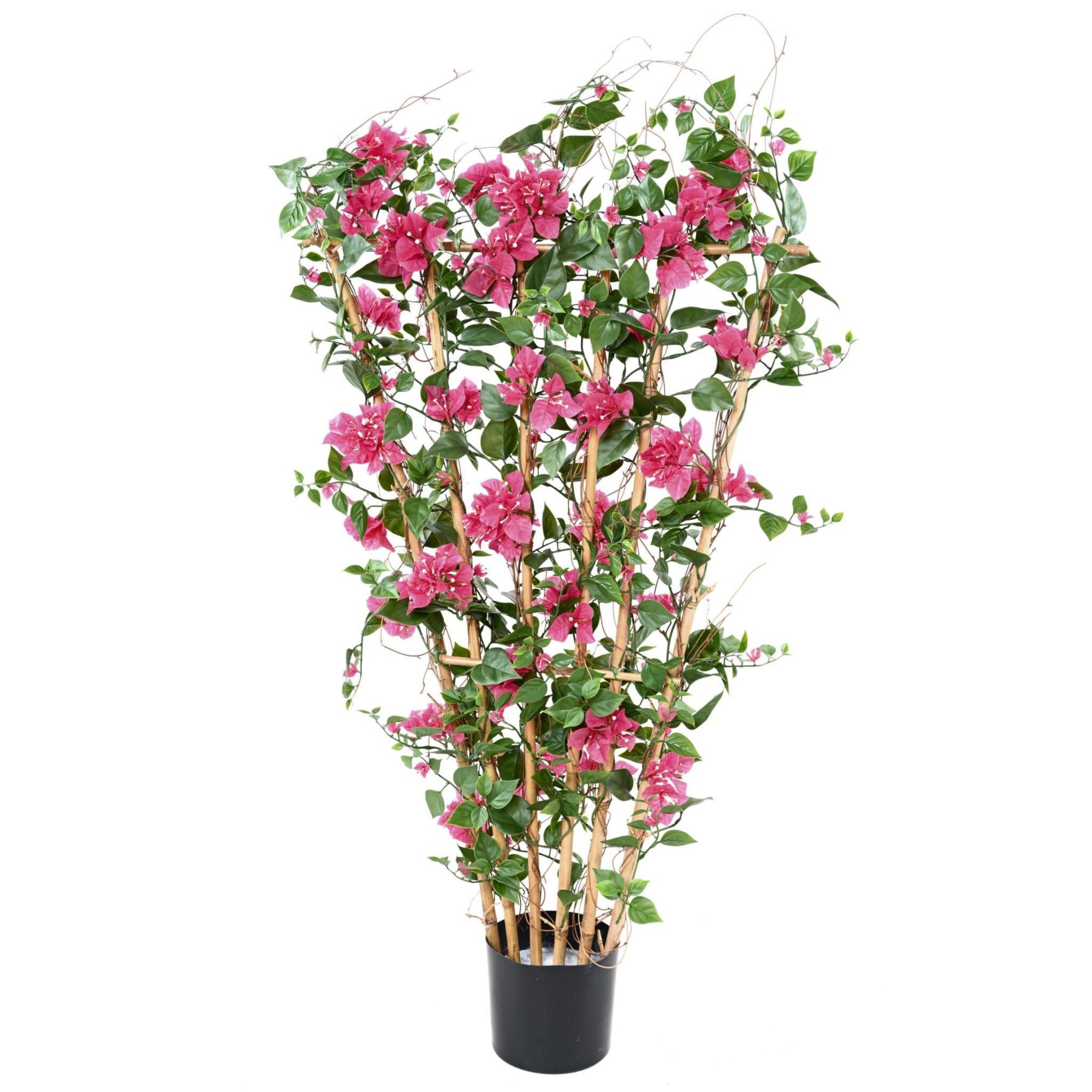 Autre angle : bougainvillée synthétique fuchsia sur palissade, hauteur 140 cm