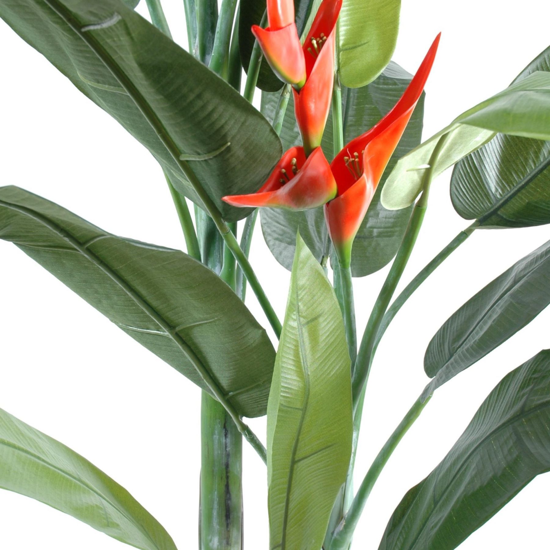 Autre angle : heliconia synthétique de 180 cm avec fleurs rouges et large feuillage