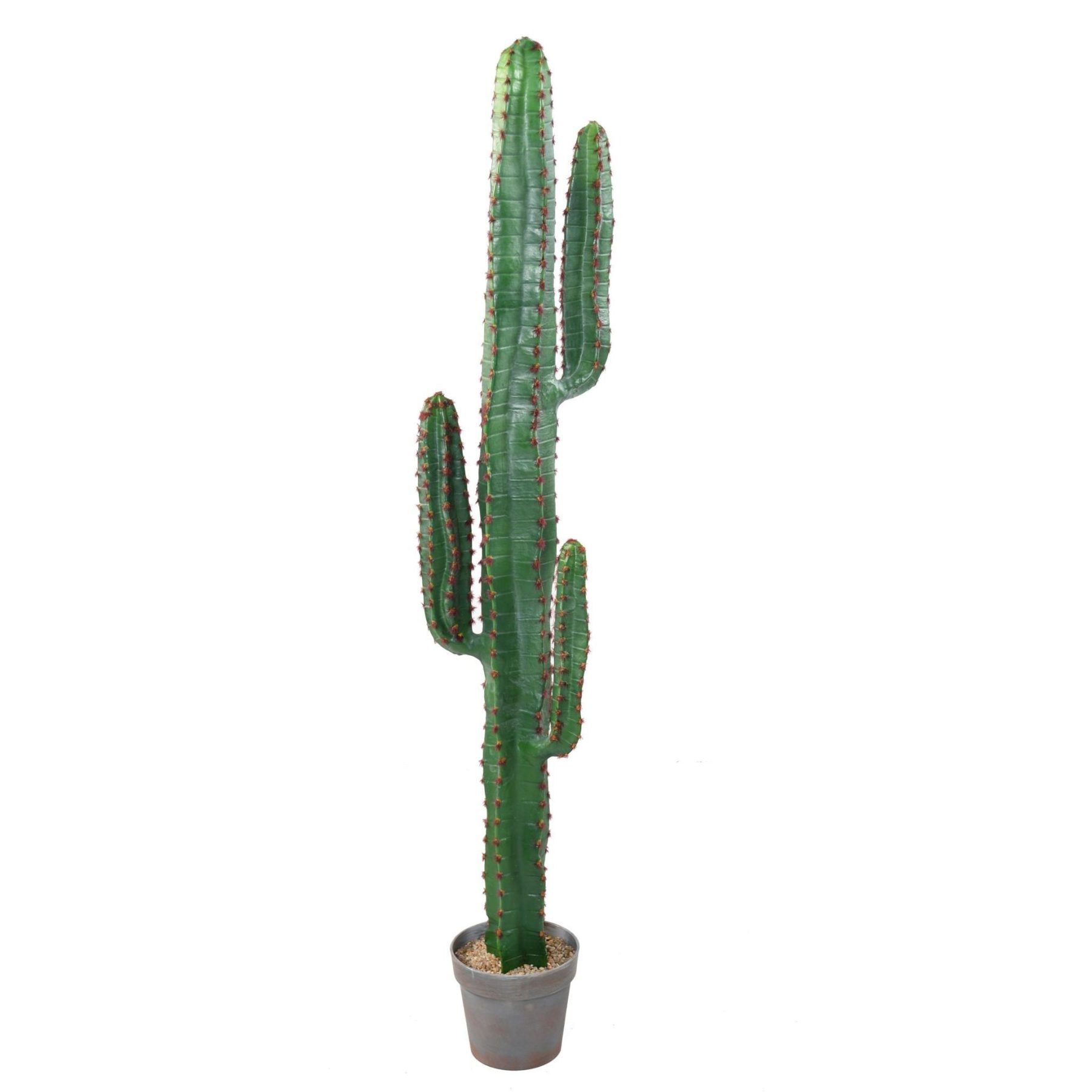 Autre angle : cactus synthétique vert de 150 cm, silhouette de 30 cm de large