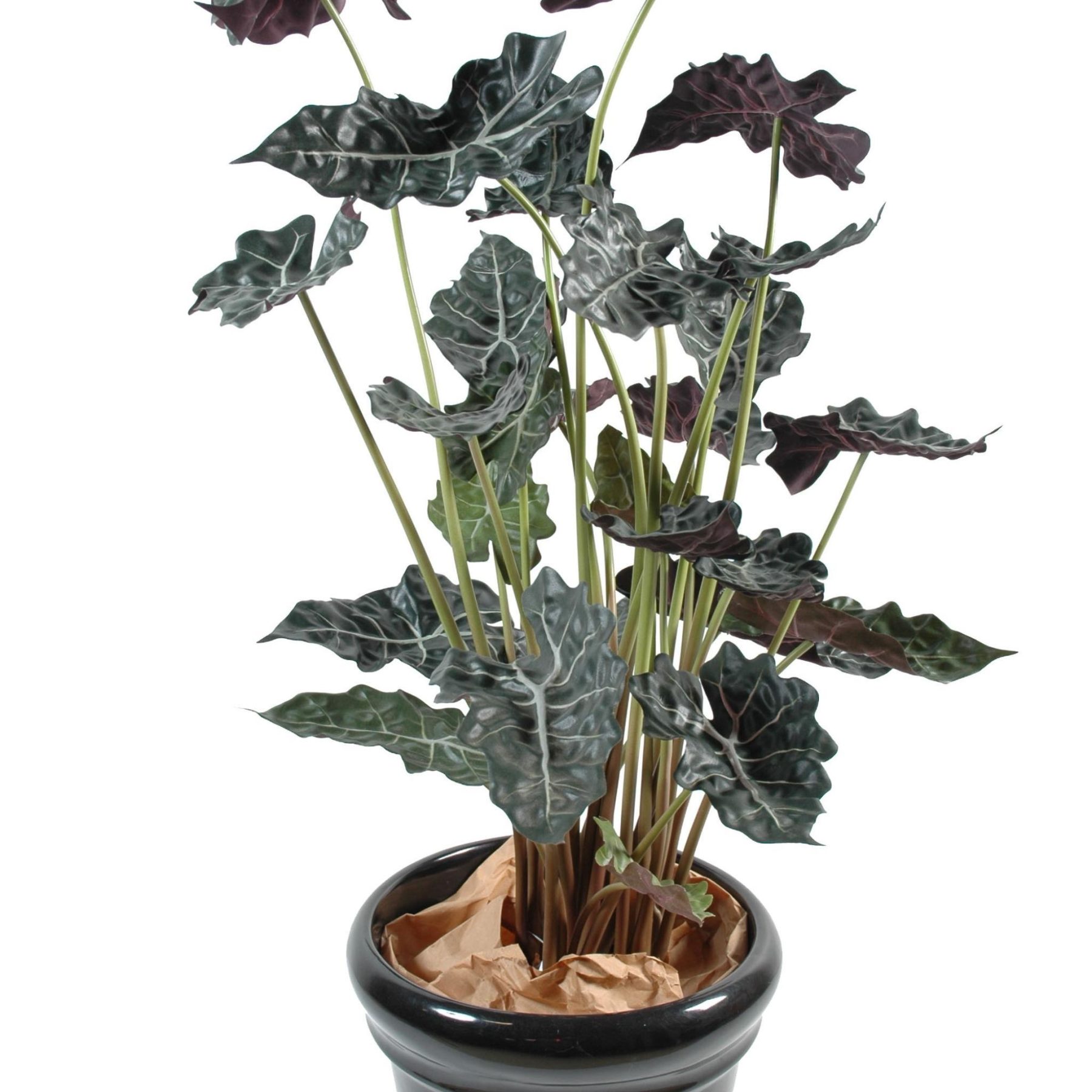 Autre angle : alocasia artificiel de 110 cm au feuillage vert et rouge enduit